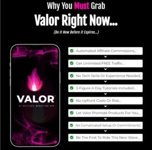 Valor Review