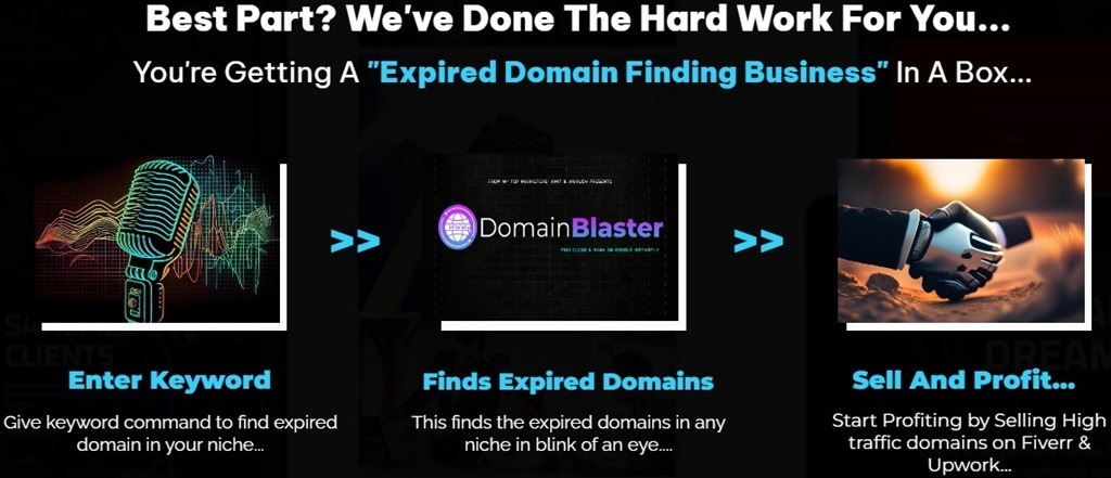 Domain Blaster how does 1