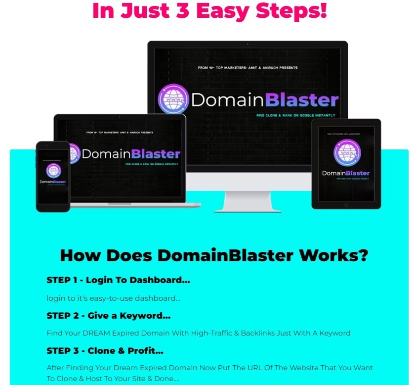 Domain Blaster how does